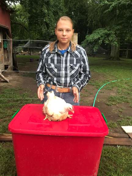 Micayla Gordon Margaretta Livestock