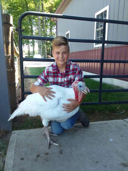 Ryder  Kramb Barn Busters