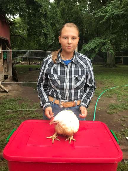 Micayla Gordon Margaretta Livestock