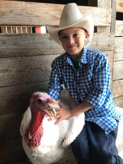 Braxton Miller Margaretta Livestock