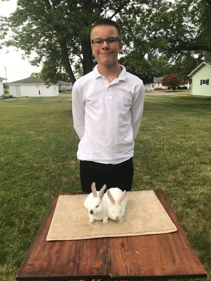 Eli Connor Margaretta Livestock