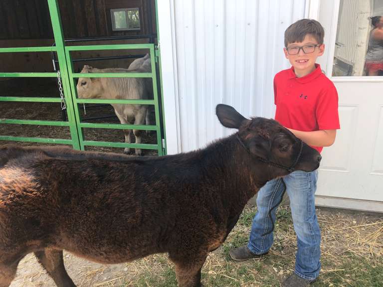 Troy Pooch Margaretta Livestock