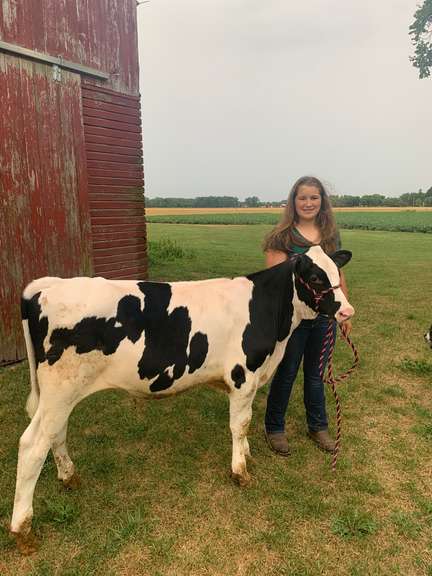 Maggie  Kromer Margaretta Livestock