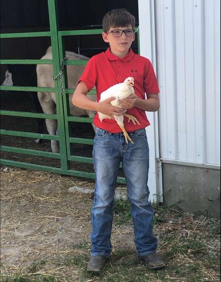 Troy Pooch Margaretta Livestock