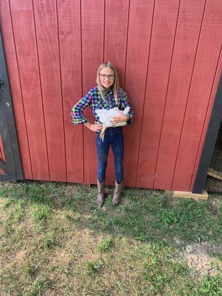 Olivia Thayer Margaretta Livestock