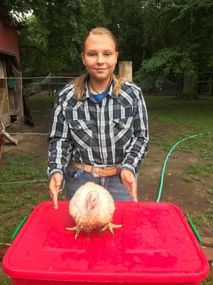 Micayla Gordon Margaretta Livestock