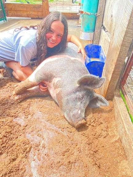 Haleigh Zellner Bloomville Good Luck Sheep
