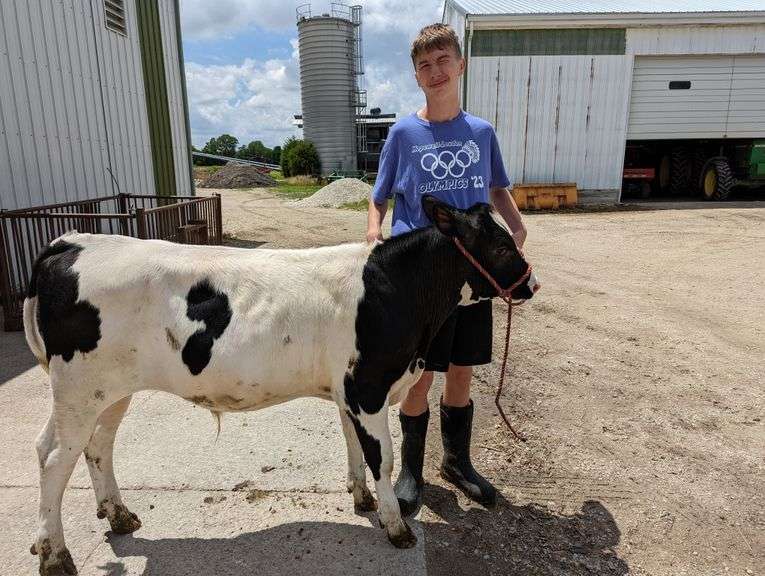 Vincent Fruth HL Hog & Dairy