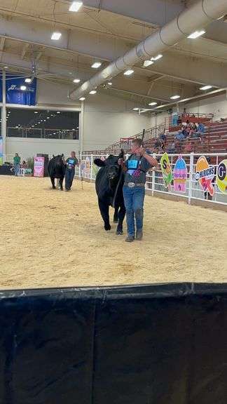 Russell Fox Seneca County Jr Beef