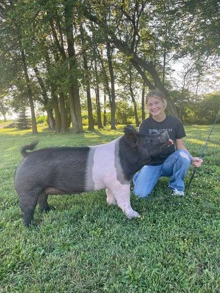 Carly Fortney Swine Stockade