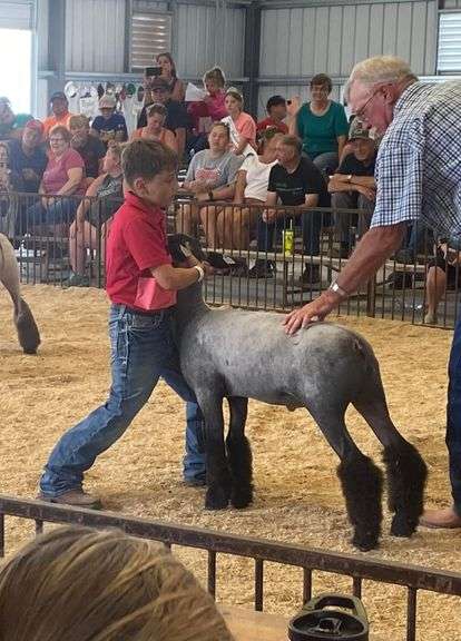 Dylan Fox Seneca County Jr Beef