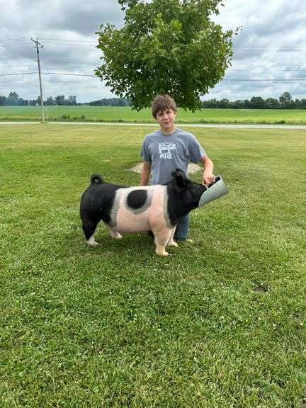 Aiden Faeth New Riegel Rawhide & Woolies