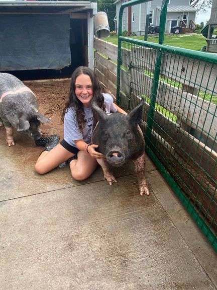 Haleigh Zellner Bloomville Good Luck Sheep