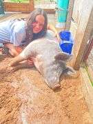 Haleigh Zellner Bloomville Good Luck Sheep