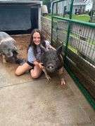 Haleigh Zellner Bloomville Good Luck Sheep
