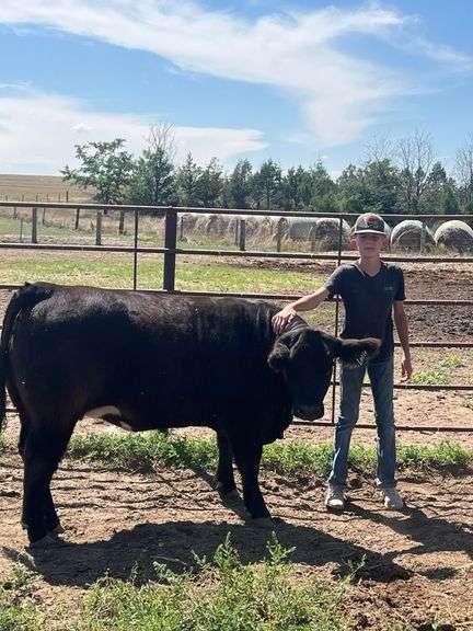 Kasyn Snyder Pleasant View 4-H Club
