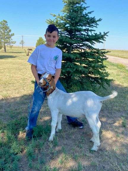 Decker  Medina Pleasant View 4-H Club