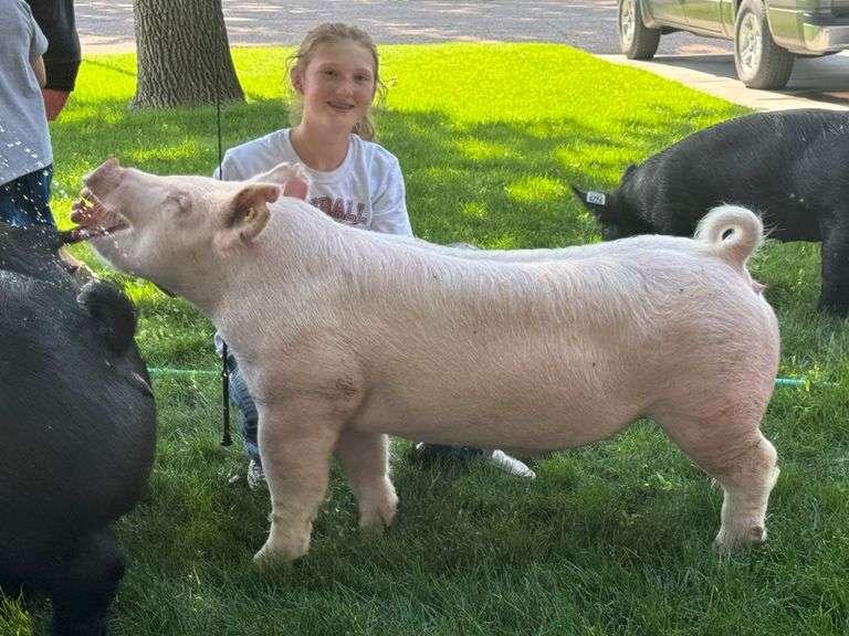 Hadley Carruthers  Colts and Fillies 4-H Club