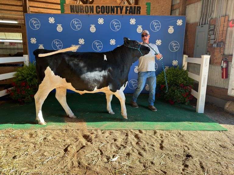 Reserve Champion Dairy Steer Audra Hohler Monroeville Fortune Finders
