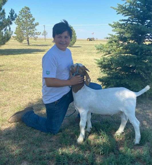 Cruz Medina Pleasant View 4-H Club