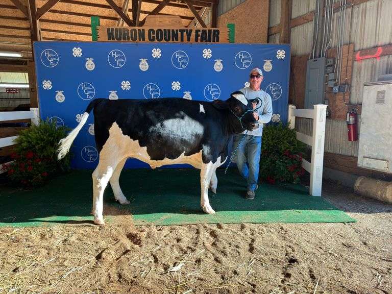 Reserve Champion Dairy Steer Audra Hohler Monroeville Fortune Finders