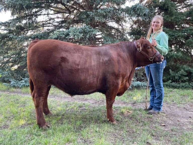 Taylor  Whitney Colts and Fillies 4-H Club