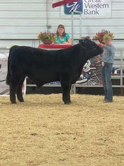 Britton Culek  Pleasant View 4-H Club