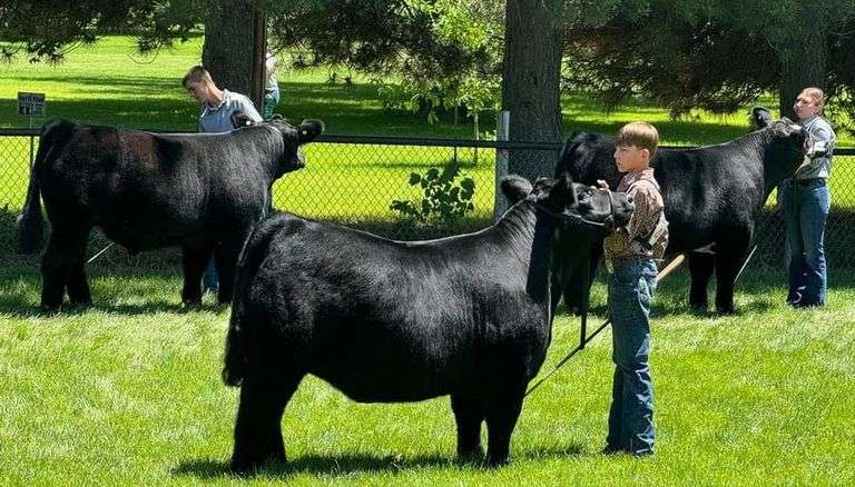 Kasyn Snyder Pleasant View 4-H Club
