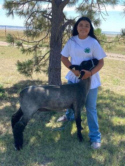 Tatum  Medina Pleasant View 4-H Club