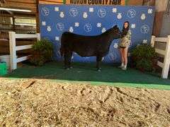 Emme Lyon Bellevue FFA
