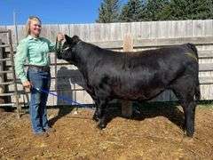 Taylor  Whitney Colts and Fillies 4-H Club