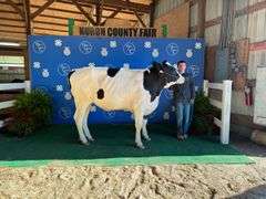 Jaxon Dalton Rumblin Riders
