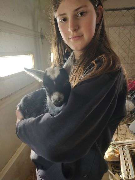 Samantha  Kirby  Liberty Livestock