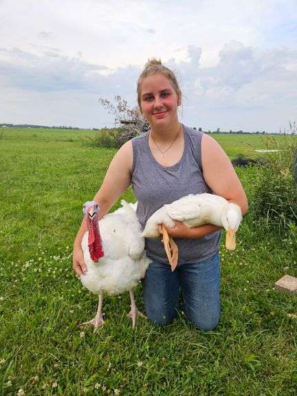 Arianna  Bench  Livestock Unlimited