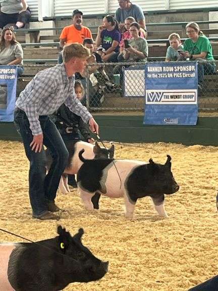 Colt  Mckay  Liberty livestock