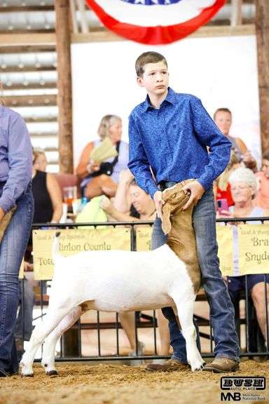 Gage  Hughes  Liberty Livestock
