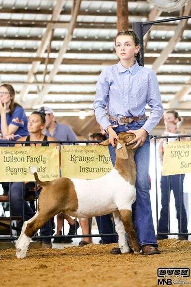 Reese  Williams  Town and Country Kids