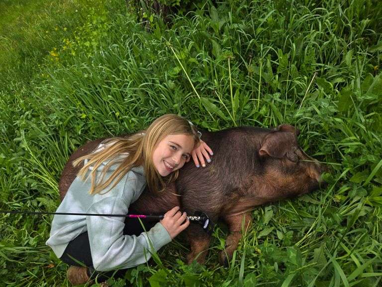 Chloe  Bare  Animal Express