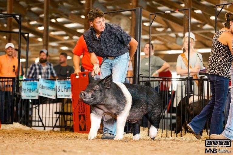 Ty  Tucker  Animals Express
