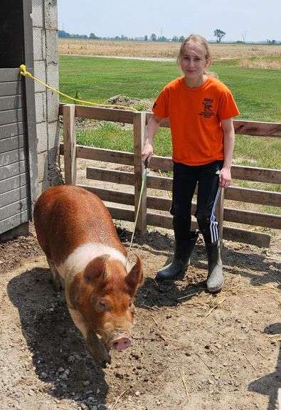 Makenna  Carr  Livestock Unlimited