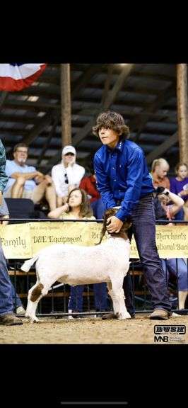 Weston  Dean  A&A Ranchers
