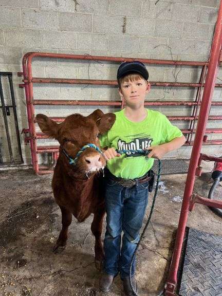 Liam  Penewit  Liberty Livestock