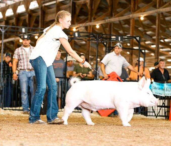 Ally  Montague  A&A Ranchers 4-H Club