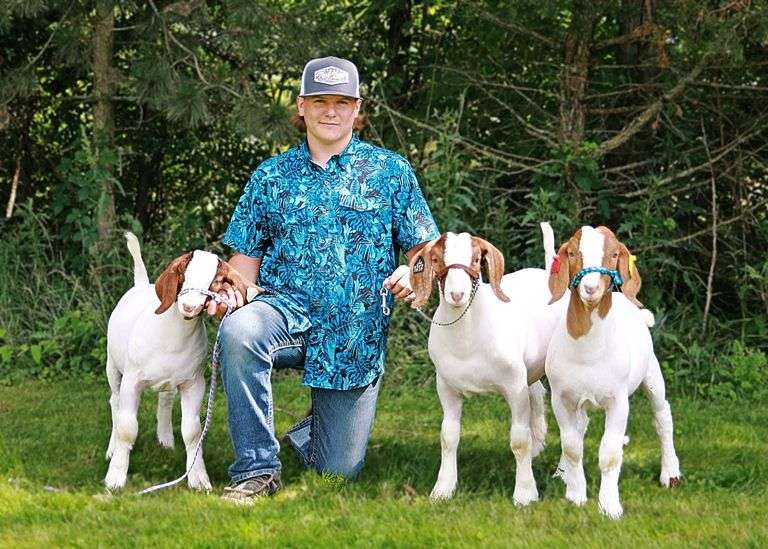 Cory  Kidd  Animals express