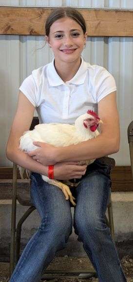 Aurora  Zimmerman  Liberty Livestock