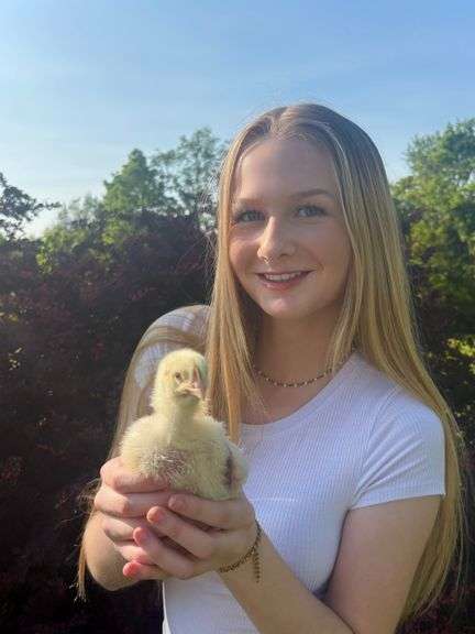 Mallory  Thomason  - Reserve Champion Meat Pen of Chickens