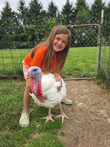 Camilla  Schnell  Reserve Champion Market Turkey