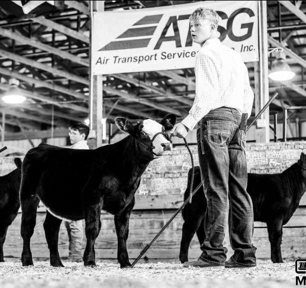 Peyton  Lilly  Final Drive 4-H Club