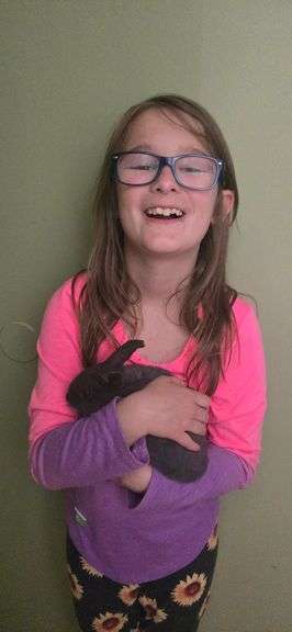 Addie  Reed  Animal Express