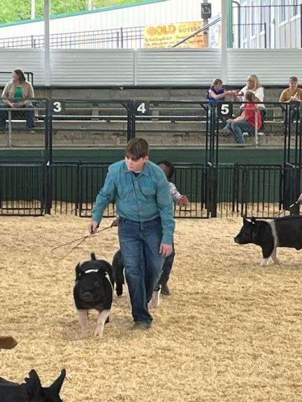 Wyatt  Mckay  Liberty livestock